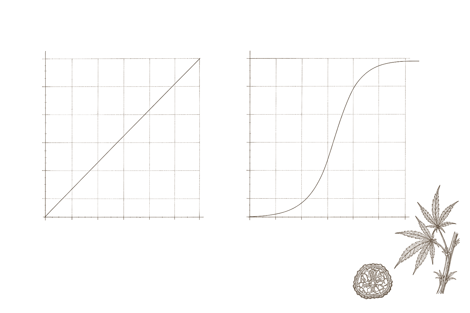 Archival pharmacological plate — linear dose assumption versus sigmoid dose-response curve in 19th-century engraving style