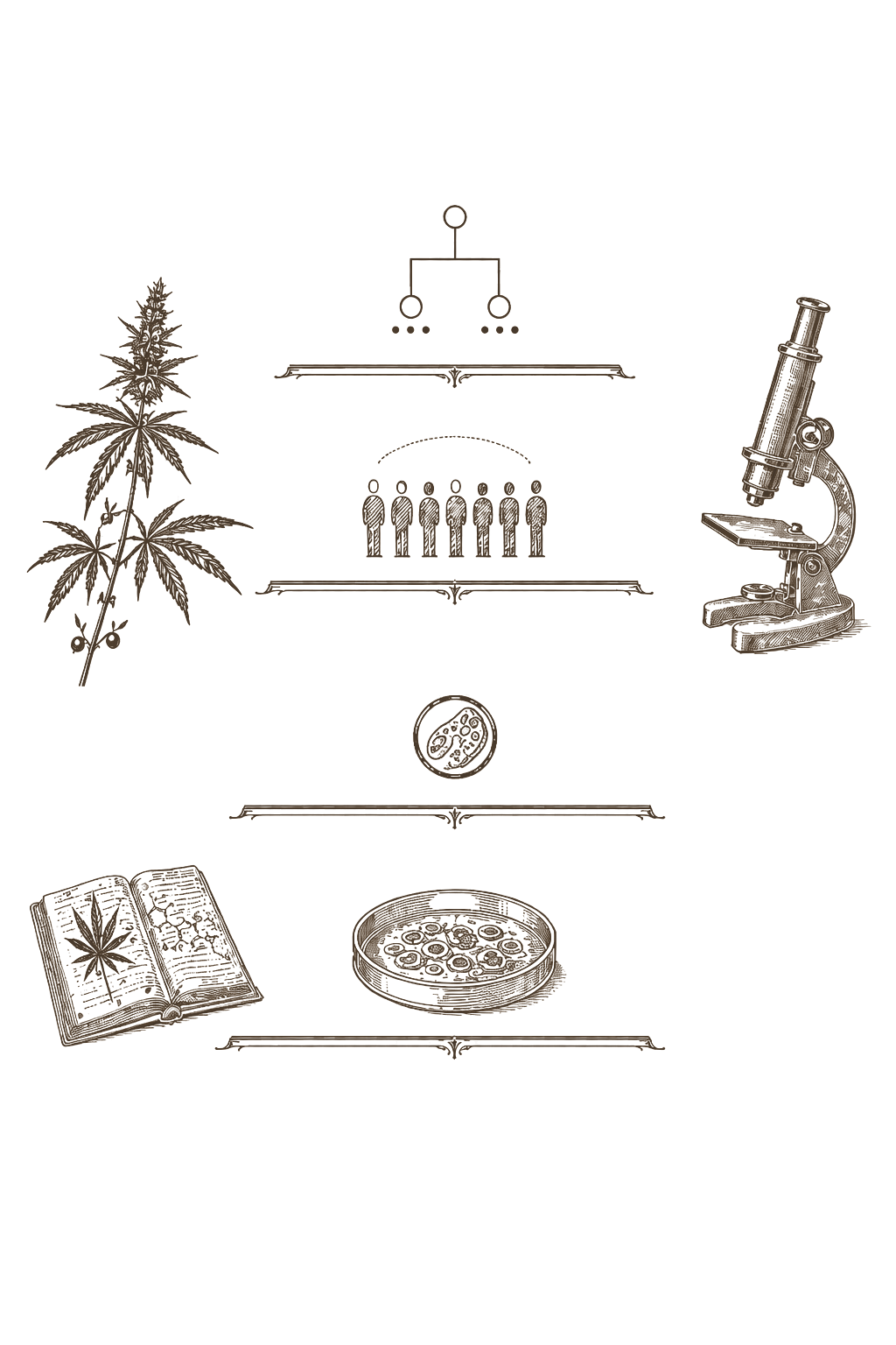 Archival evidence plate — research tier hierarchy from in vitro through RCT as reference diagram in 19th-century engraving style