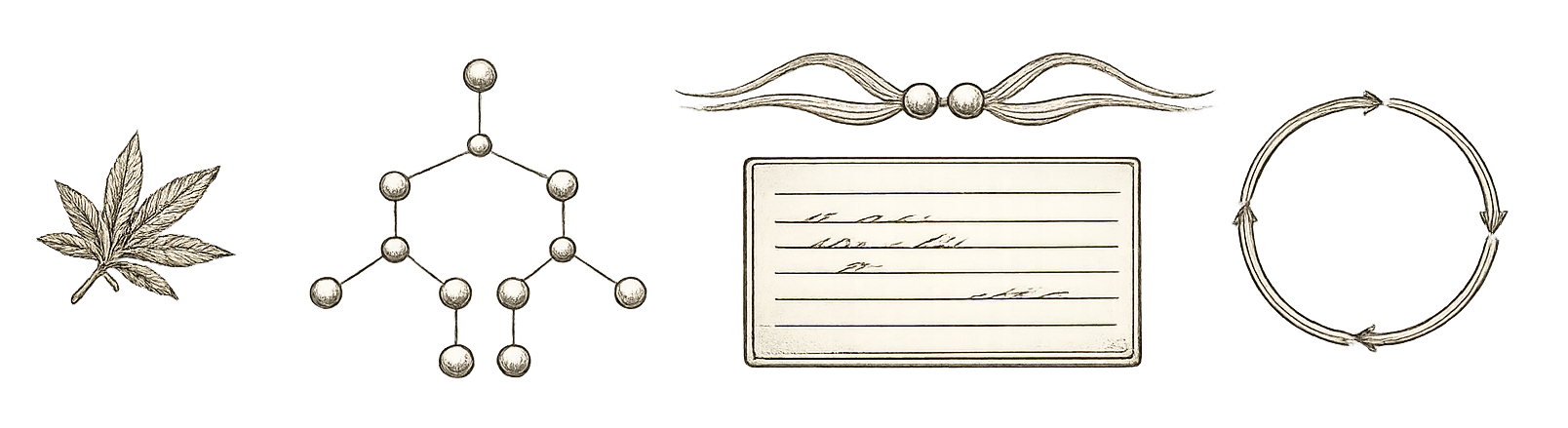 Botanical illustration — representing the endocrine and reproductive health research pillar