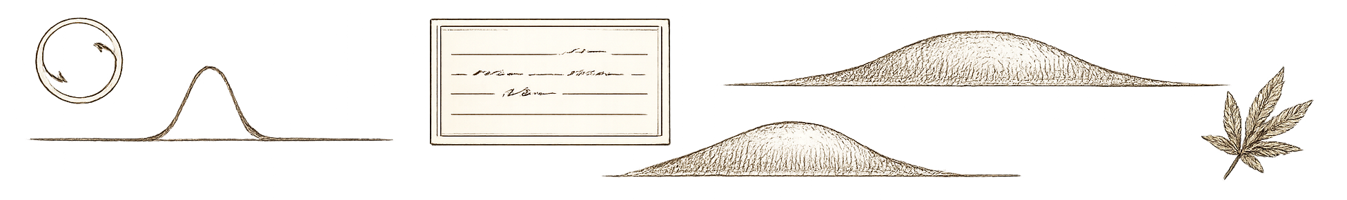 Botanical illustration — representing the understanding stress section