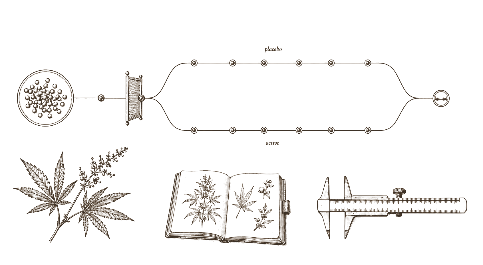 Archival methodology plate — RCT structure with randomisation, placebo and active arms, and measurement points in 19th-century engraving style