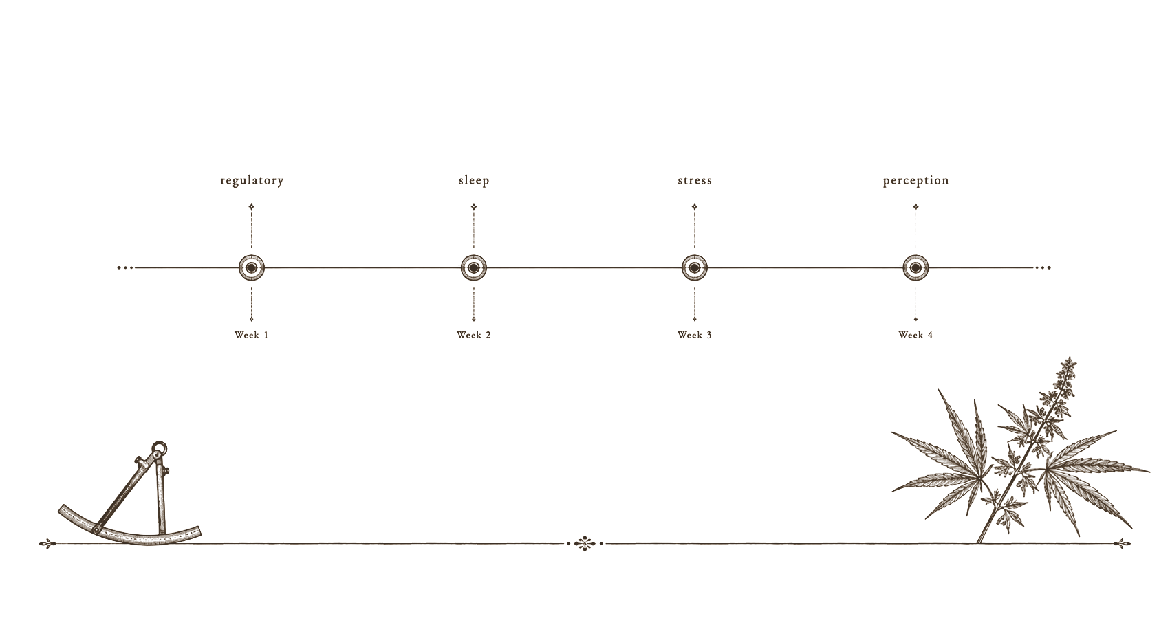 Archival timeline plate — four-week observational timeline with functional marker annotations in 19th-century engraving style